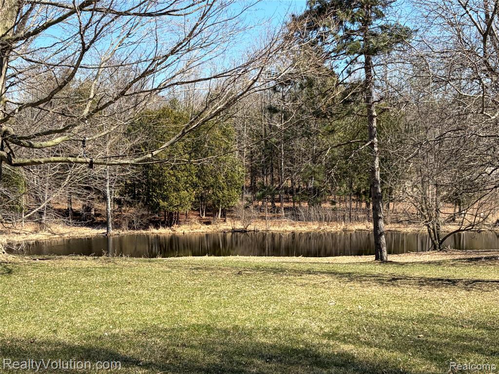5449 Lum Road, Attica, MI 48412 — Photo 53