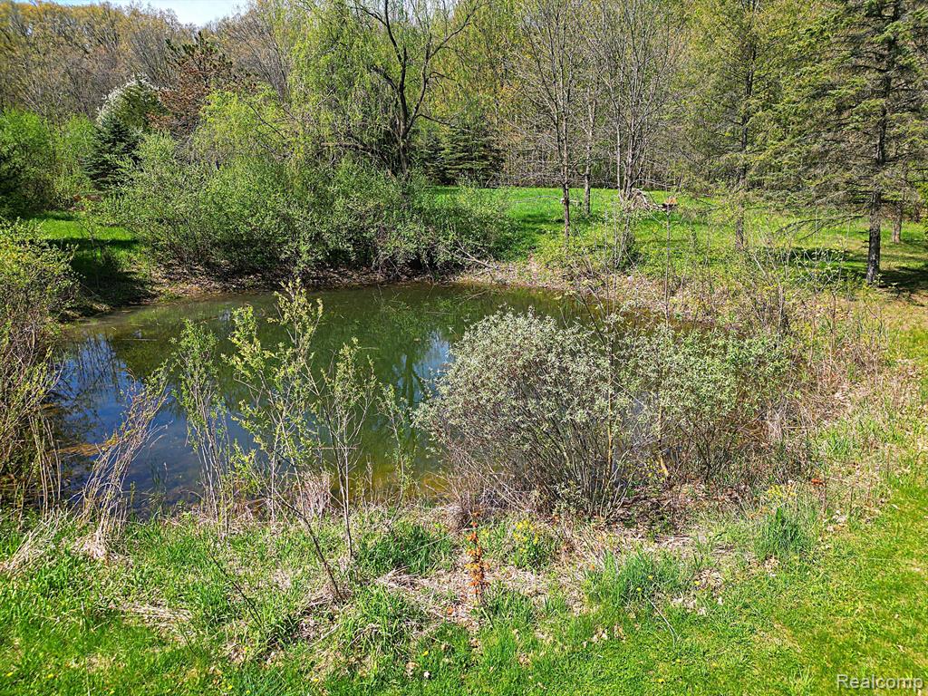7655 WHEELER Road, Whitmore Lake, MI 48189 — Photo 6