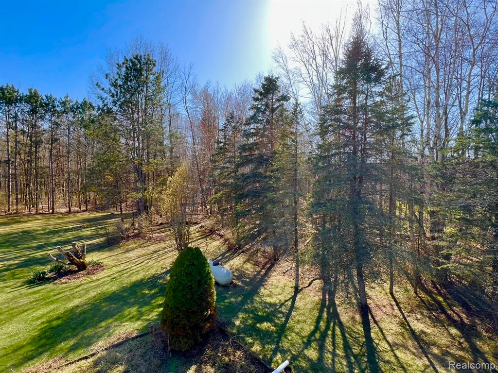 3421 Pine Drive, Caro, MI 48723 — Photo 24