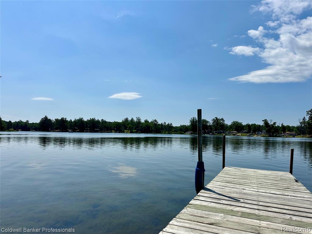 7351 Chain Lake Drive, South Branch, MI, 48761