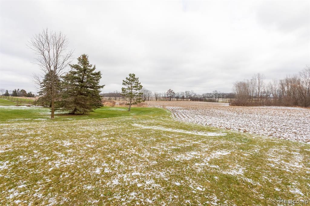 9195 SCHILL Road, Saline, MI 48176 — Photo 41