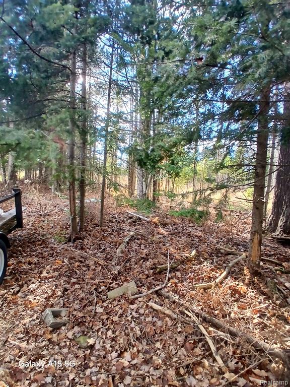 11255 Long Rapids Road, Lachine, MI 49753 — Photo 15