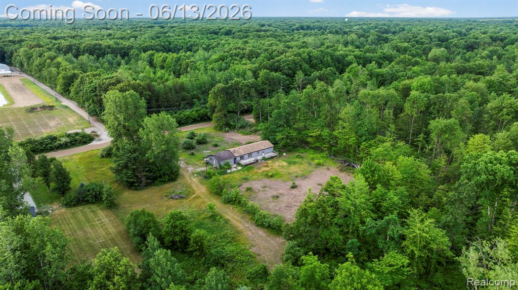 51105 Arkona Road, Belleville, MI 48111 — Photo 30