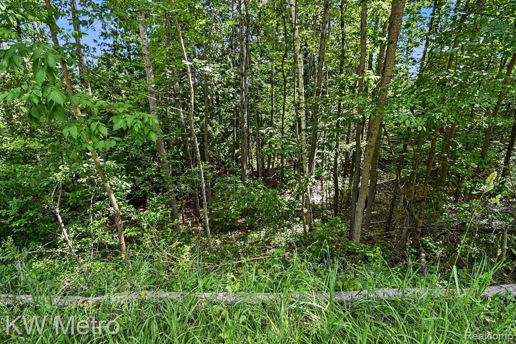 N/A Franklin Trail, Sterling, MI 48749 — Photo 6