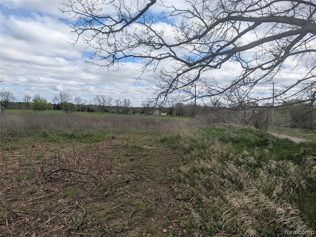 Parcel E Hogan Road, Linden, MI 48451 — Photo 3