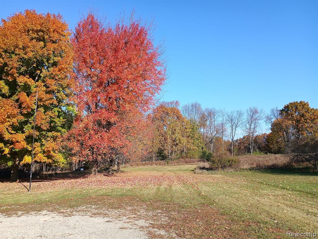 3145 Kings Mill Road, North Branch, MI 48461 — Photo 11