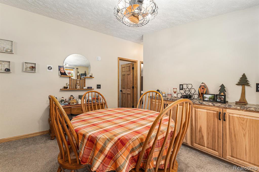 4977 E Buck Rub Road, Custer, MI 49405 — Photo 5