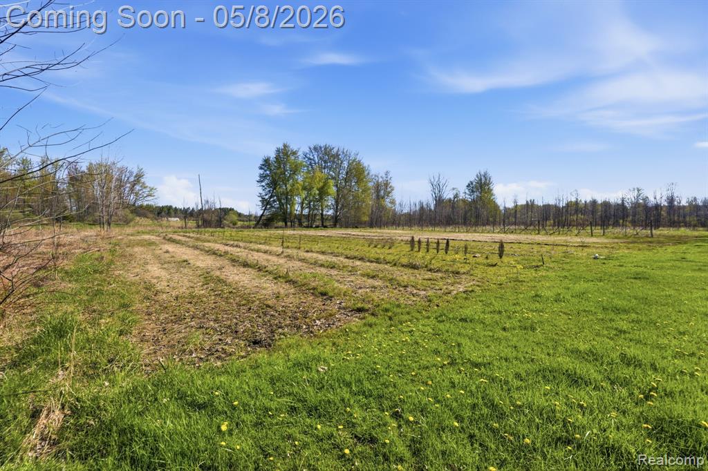 2905 S Plain Road, Caro, MI 48723 — Photo 50