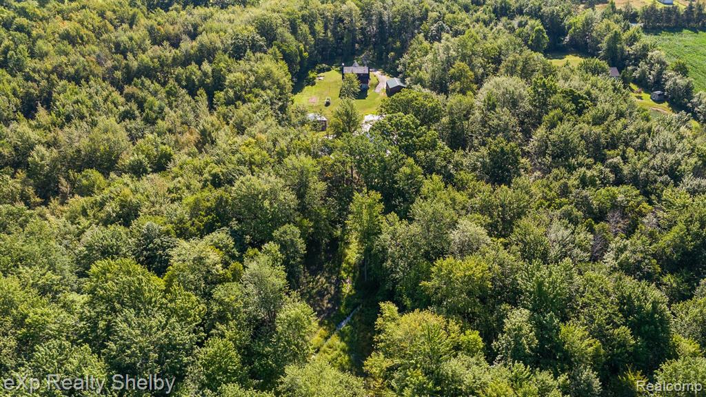 5697 GLEASON Road, Emmett, MI 48022 — Photo 58