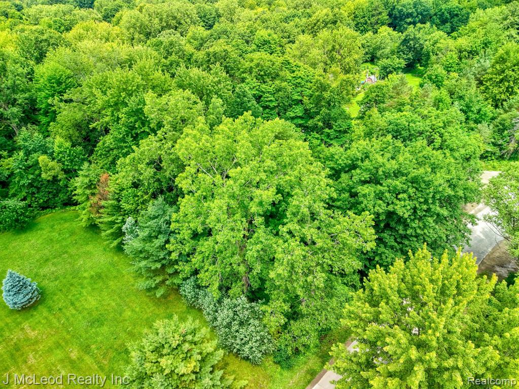 VL N Lewis Road, Clio, MI 48420 — Photo 10