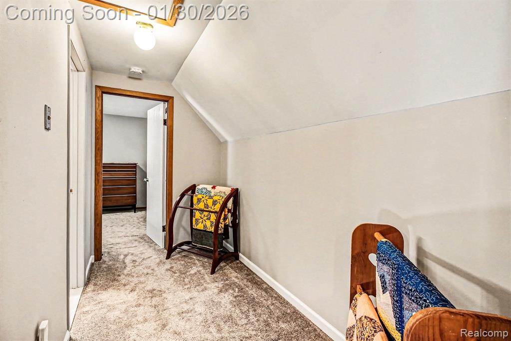 858 Alpine Drive, Brighton, MI 48116 — Photo 16