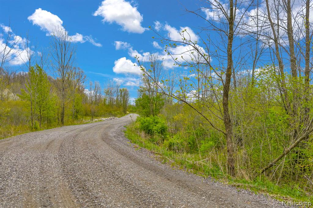 0 Martin Road, Avoca, MI 48014 — Photo 11