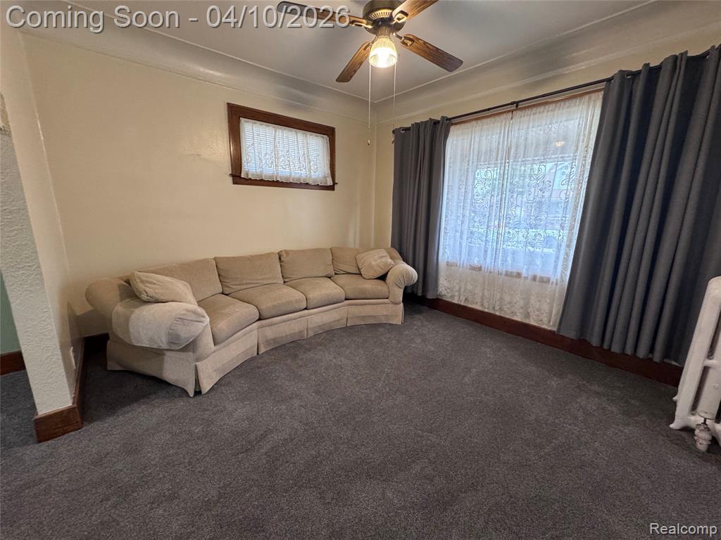 3841 Caniff Street, Hamtramck, MI 48212 — Photo 14