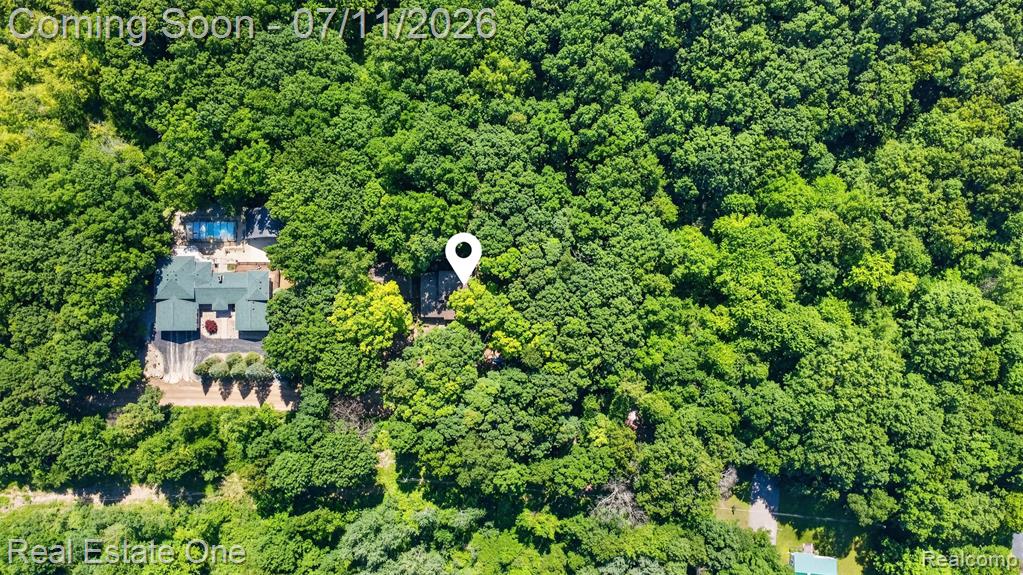 310 S Van Road, Holly, MI 48442 — Photo 3