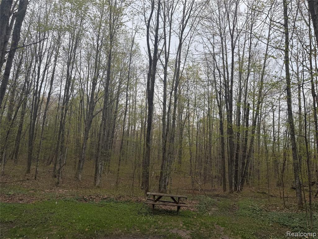 8641 Springdale Drive, Elmira, MI 49730 — Photo 22
