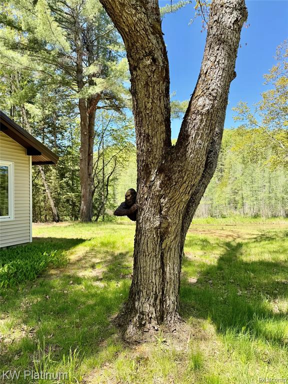 7050 Valley Lane, Atlanta, MI 49709 — Photo 39