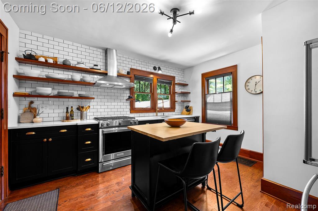 728 N Washington Avenue, Royal Oak, MI 48067 — Photo 18