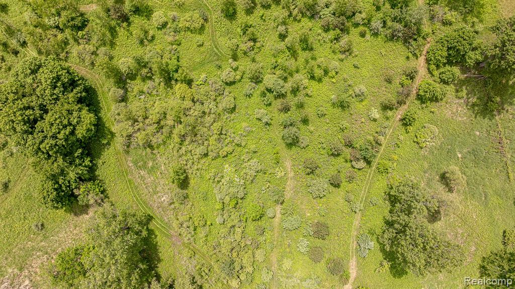 VL Fosland Farms Drive, Jackson, MI 49201 — Photo 9