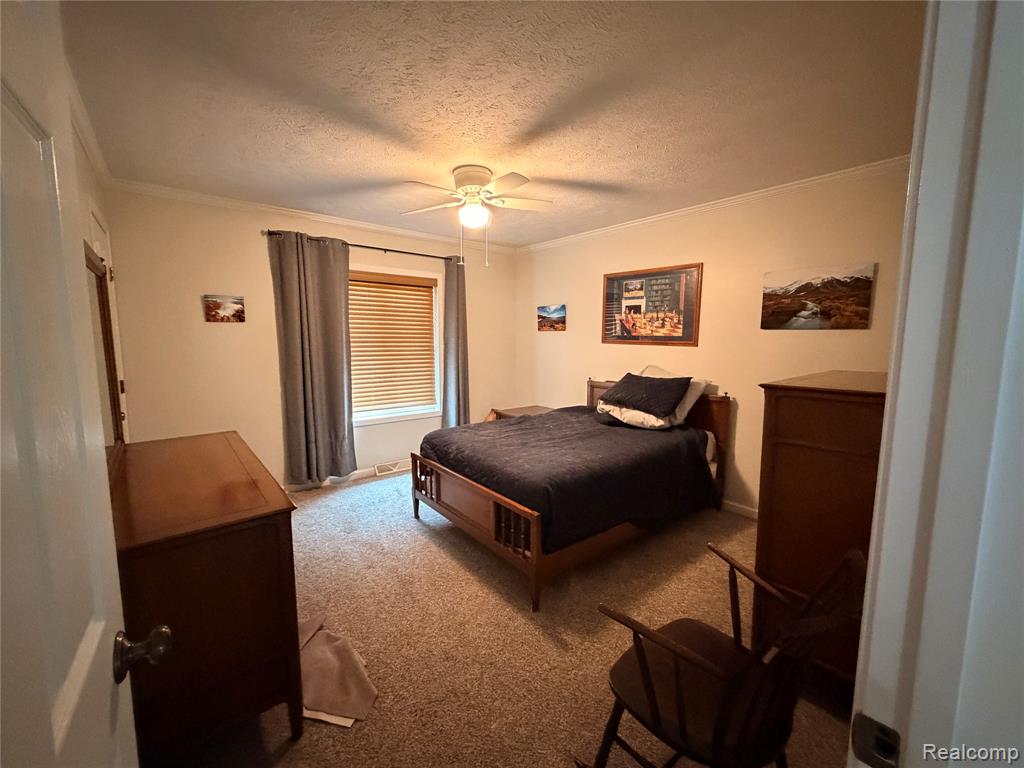 337 Lafayette Street, Manchester, MI 48158 — Photo 19