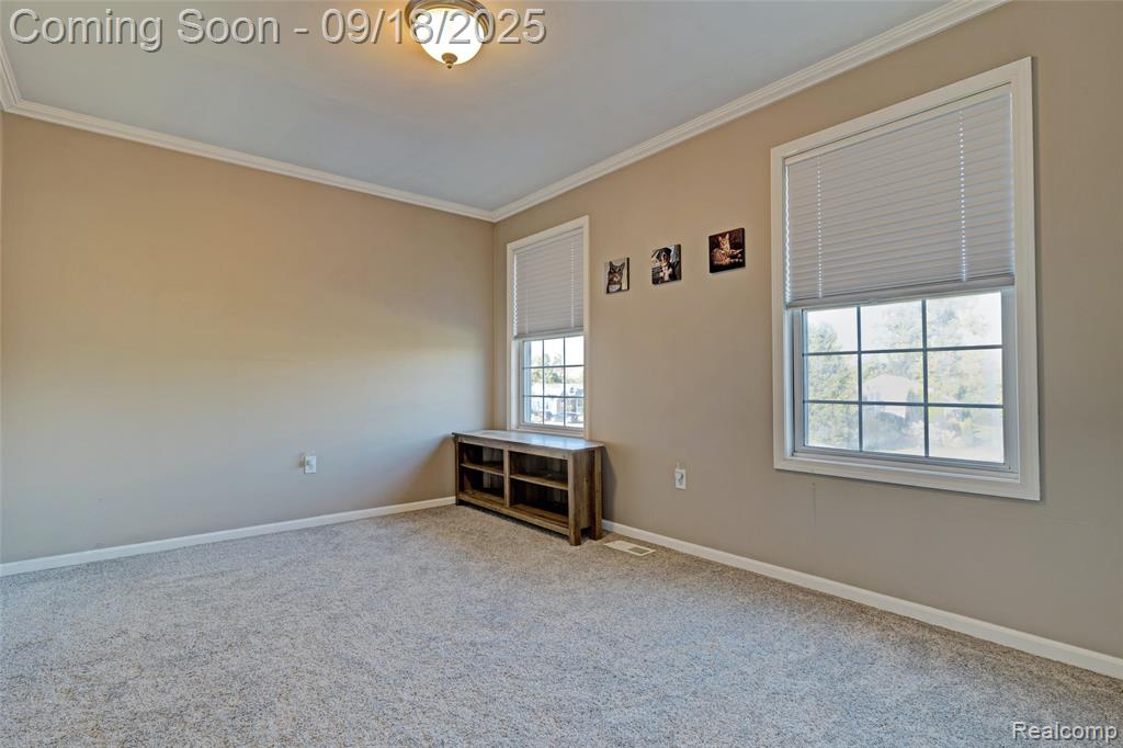 7438 Peppermill Drive, Swartz Creek, MI 48473 — Photo 21