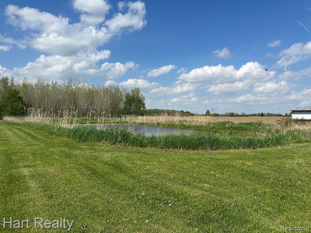 9548 SHARP Road, Clifford, MI 48727 — Photo 24