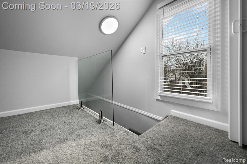 11717 Cascade Street, Detroit, MI 48204 — Photo 7