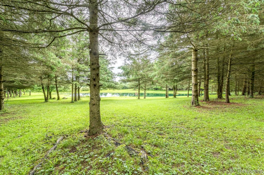 7571 BROCKWAY Road, Melvin, MI 48454 — Photo 28