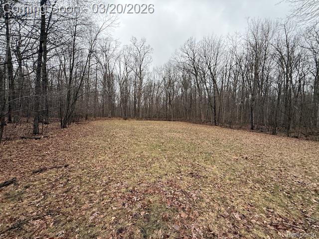 10452 E Maple Avenue, Davison, MI 48423 — Photo 33