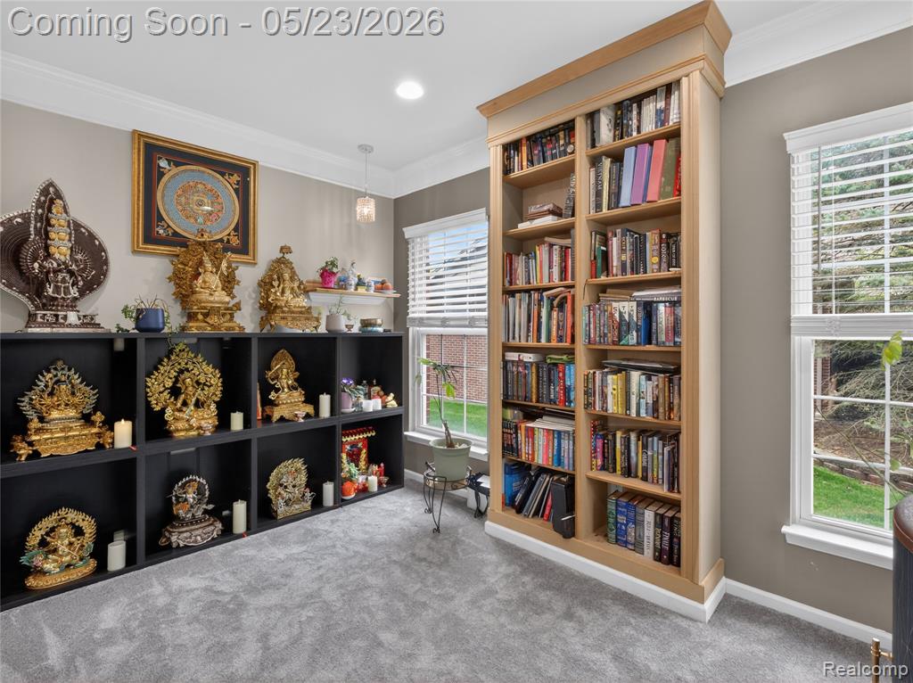 50182 Black Horse Lane, Canton, MI 48188 — Photo 11