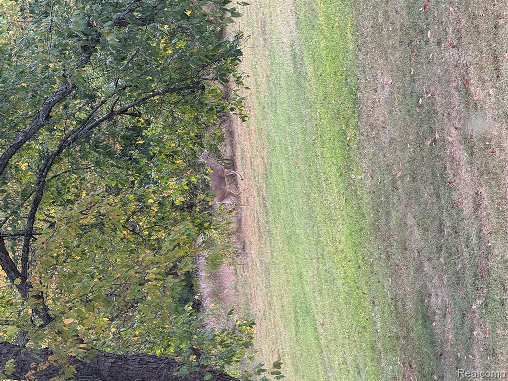 3745 Green Corners Road, Metamora, MI 48455 — Photo 74