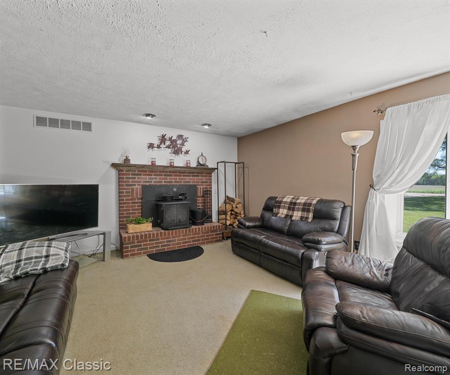 11589 OWOSSO Road, Fowlerville, MI 48836 — Photo 14