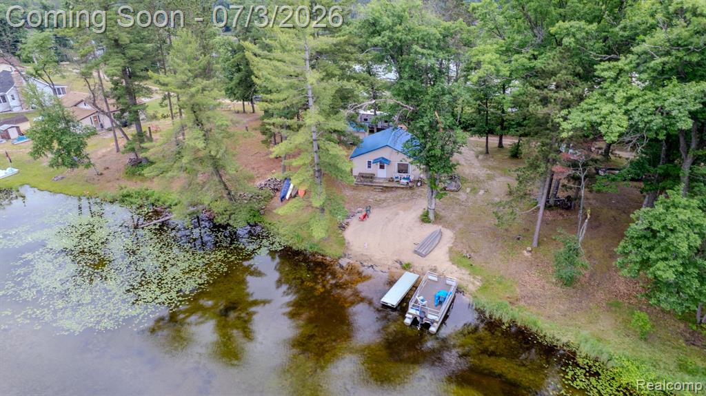 8272 Paradise Drive, South Branch, MI 48761 — Photo 39