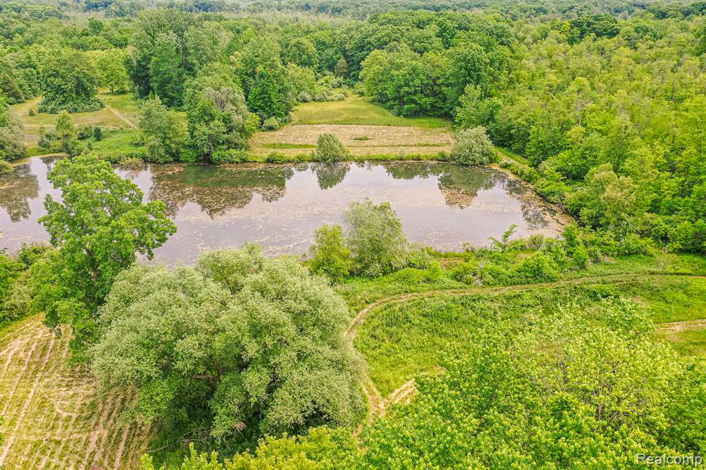 5180 Hillsboro Road, Davisburg, MI 48350 — Photo 56