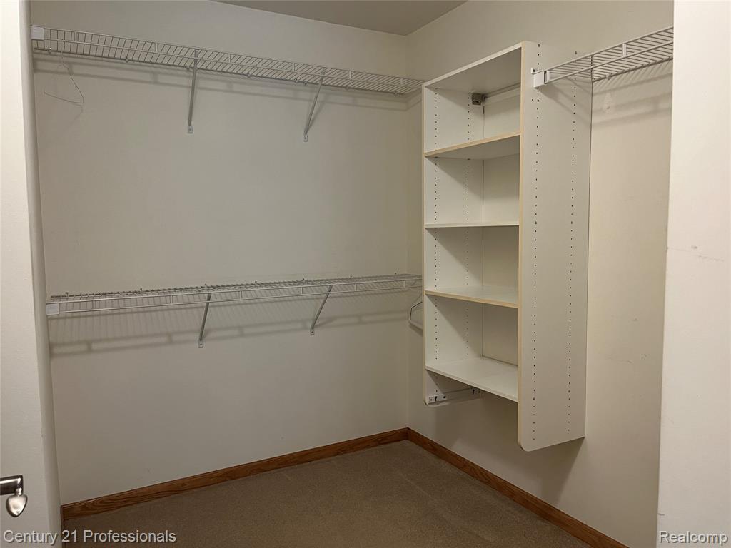 6252 Northridge Hills Drive, 66, Brighton, MI 48116 — Photo 22