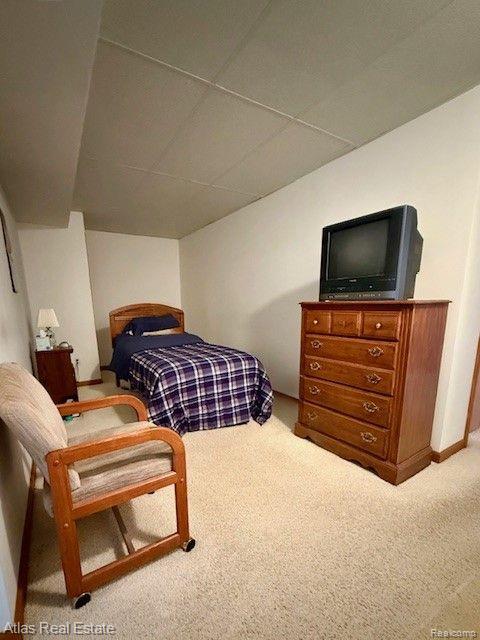 9193 EMILY Drive, Davison, MI 48423 — Photo 33