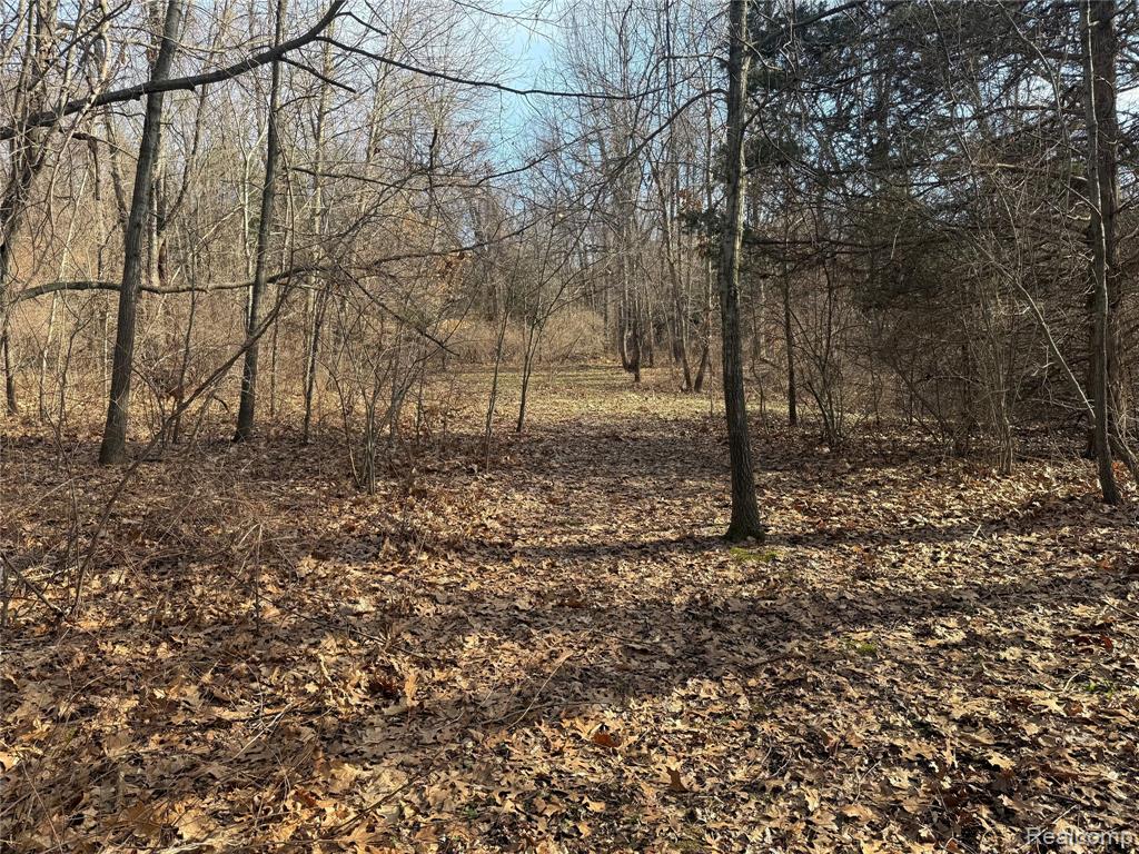 2096 Hunter Road, Brighton, MI 48114 — Photo 6