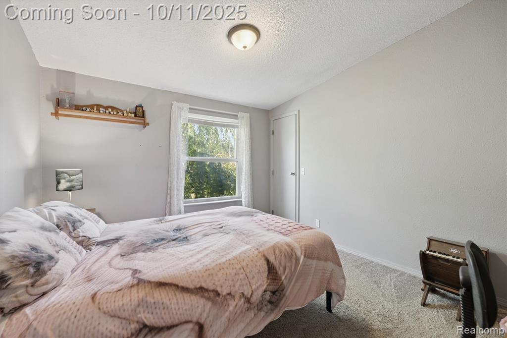 8168 Morrish Road, Swartz Creek, MI 48473 — Photo 25
