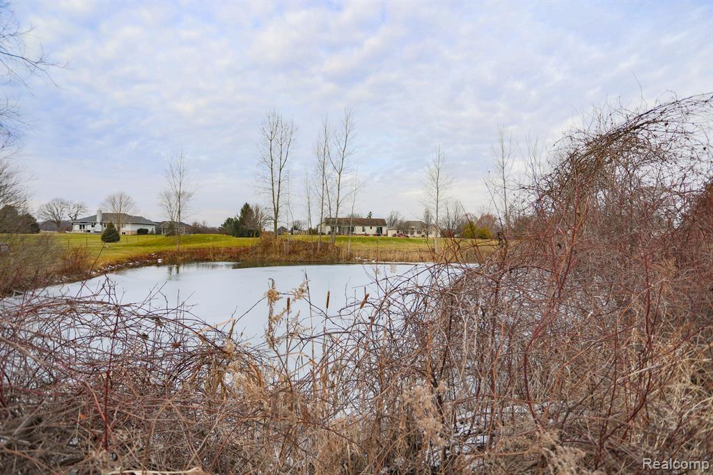 7058 OLDE FARM Trail, Almont, MI 48003 — Photo 16