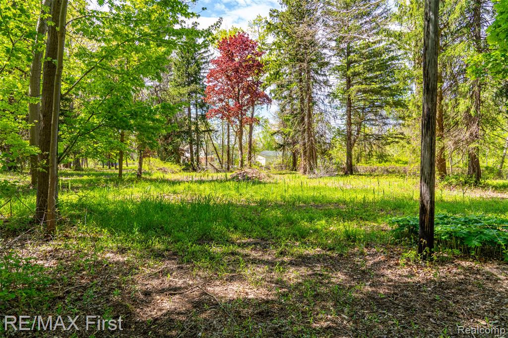 17397 Millar Road, Clinton Twp, MI 48036 — Photo 21
