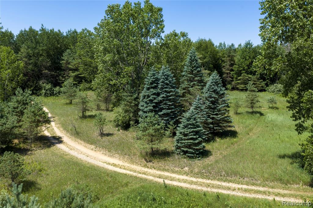 Parcel A Dodge Rd, Cass City, MI 48726 — Photo 12