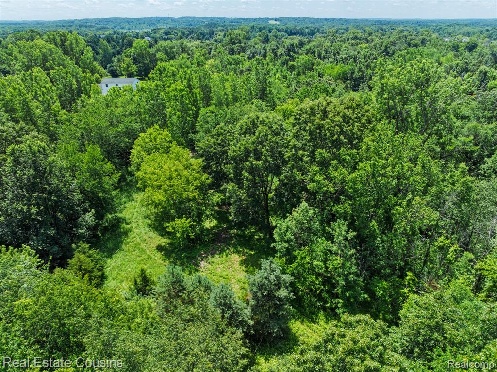 5440 Lobdell Road, Fenton, MI 48430 — Photo 20