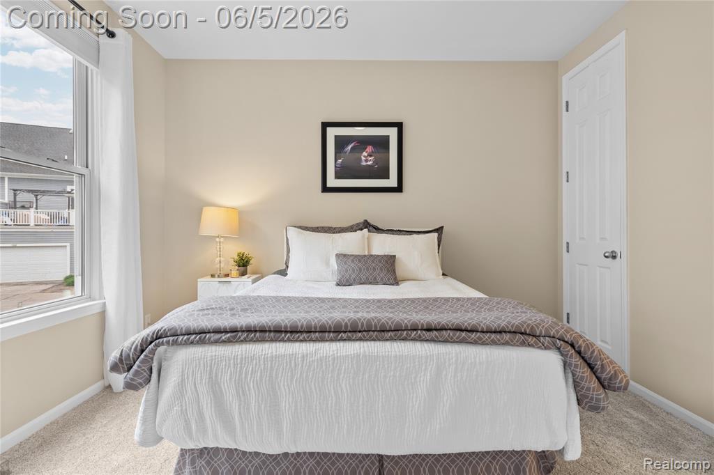 423 Patriot Street, 176, Canton, MI 48188 — Photo 19
