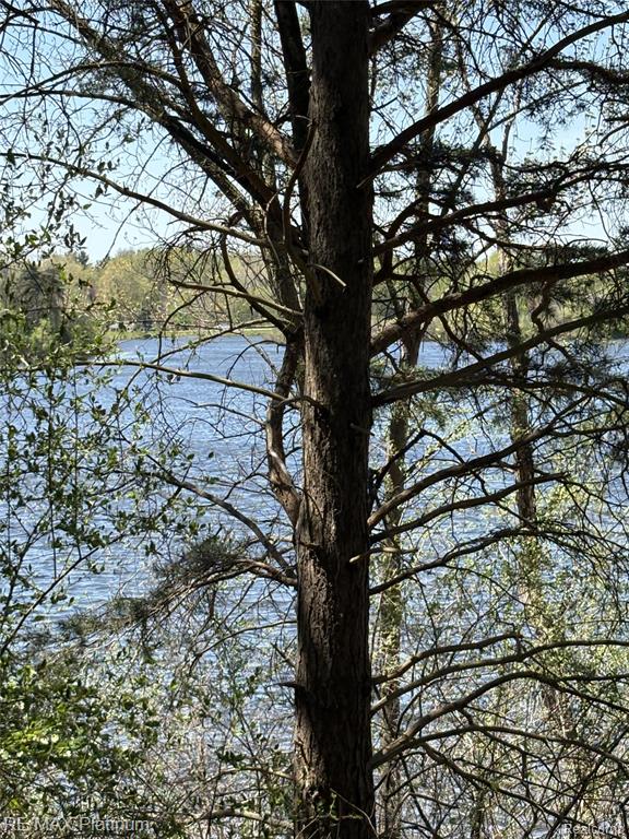 Parcel 3 Pineway Trail, Howell, MI 48855 — Photo 6