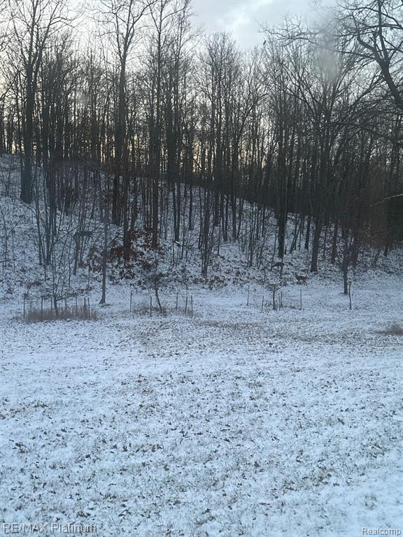 4125 Hubbard Lake Trail, Hubbard Lake, MI 49747 — Photo 18
