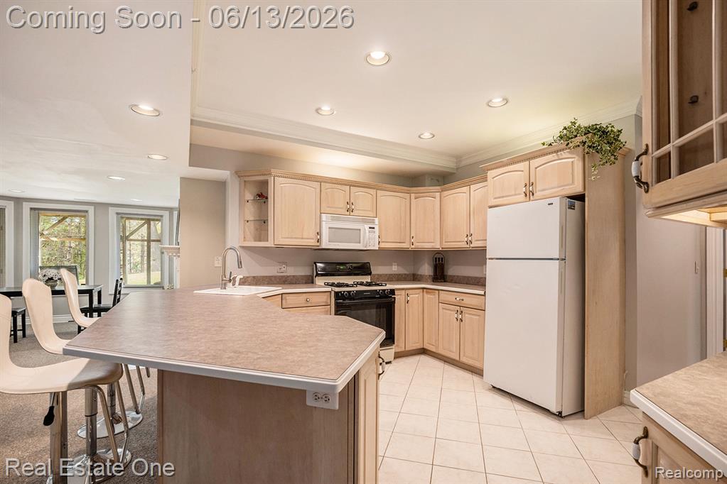 5772 N Rochester Road, Rochester, MI 48306 — Photo 20