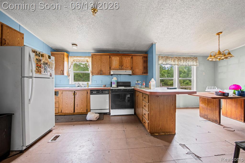 51105 Arkona Road, Belleville, MI 48111 — Photo 7