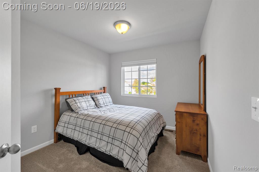 2907 Jordan River Drive, Fowlerville, MI 48836 — Photo 14