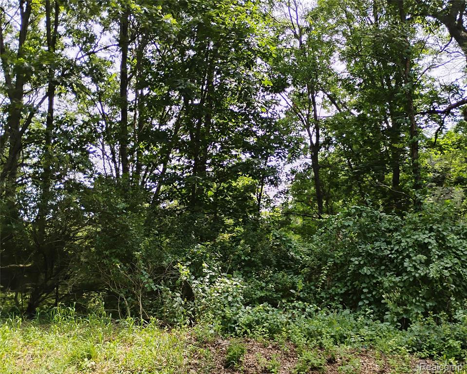 000 Middle Parcel D Middle Road, Highland, MI