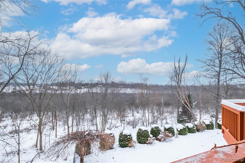 4204 Pavilion Court, Fenton, MI 48430 — Photo 38