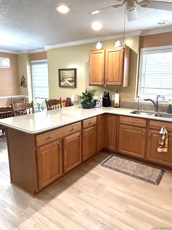 637 RIDGE Lane, B, Tecumseh, MI 49286 — Photo 22